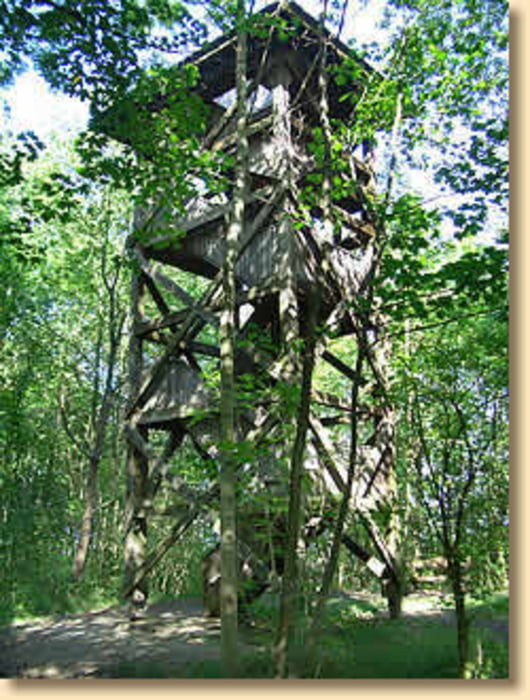 Göttingen-Kerstlingeröder Feld- Mackenröder Spitze - Plesse- Göttingen