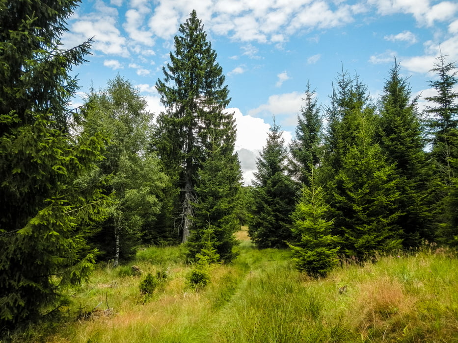 Soonwaldsteig (Kirn - Bingen) Gesamtstrecke