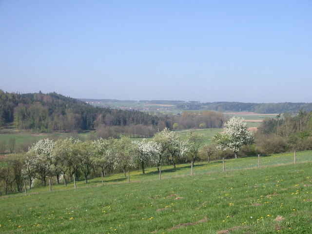Fuchsweg Leutershausen- Jochsberg- Clonsbach- Berbersbach- Hügelgräber- Leutershausen