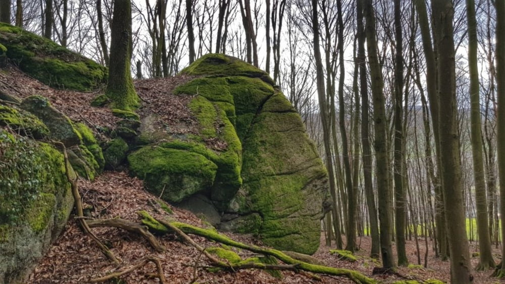 Hoher Stein