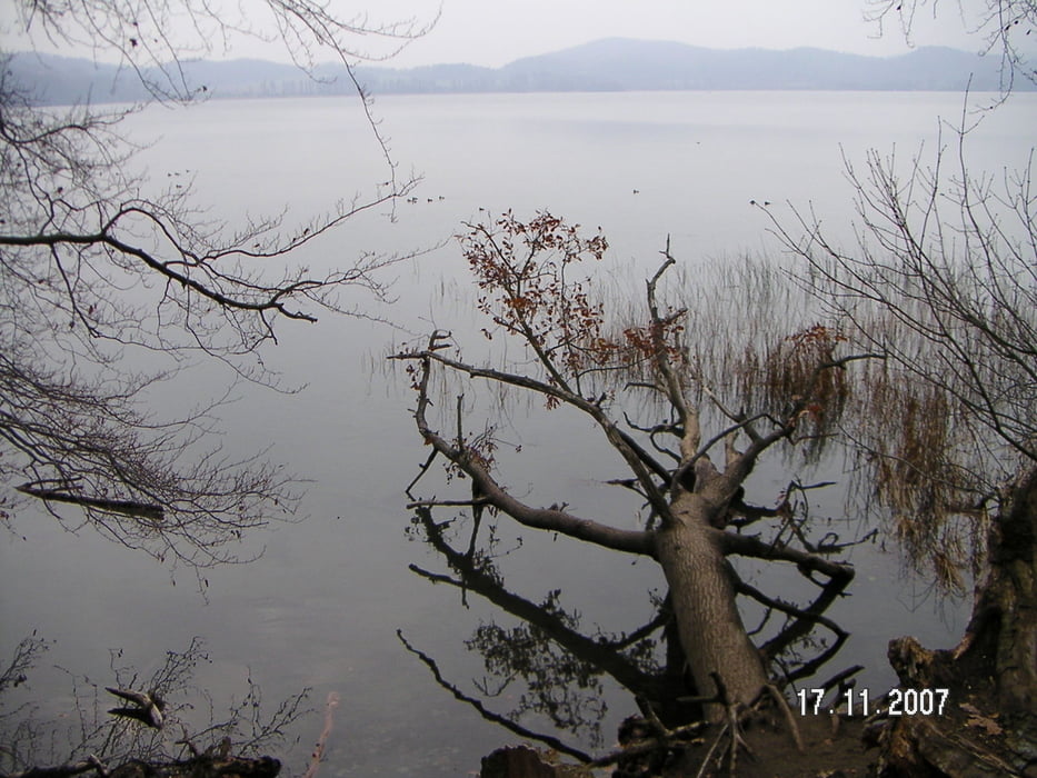 Rundwanderung um den Laacher See