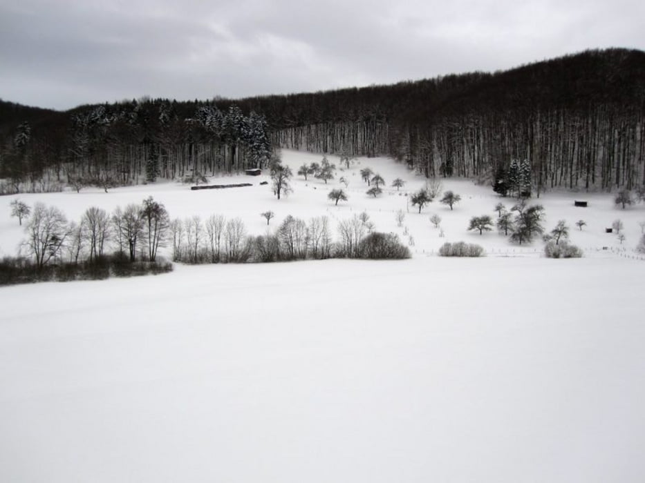 kleine Schneeschuhwanderung vom Wiesenberg über den Bürg zum Bossler