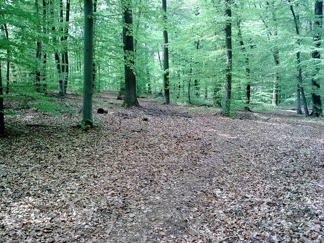 Herbitzheim via Hoste