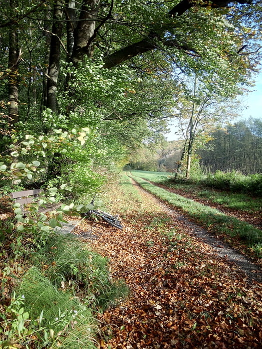 Deister 2.1 XC AM Trails Annaturm Ü30 Nordmannsturm MW MTB-Tour