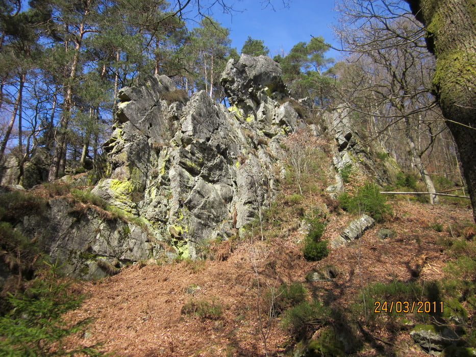 Wildbachtäler am Rande des Hohen Venns