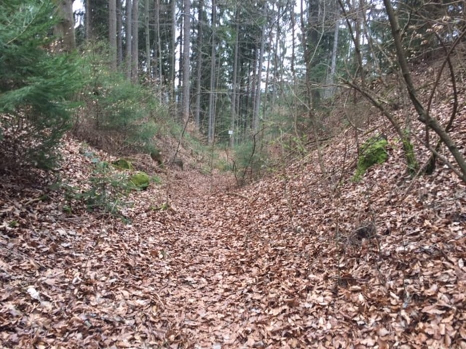 Traillauf Frankenweg