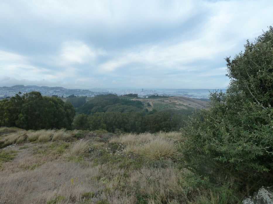 From the Mission to Mt San Bruno 