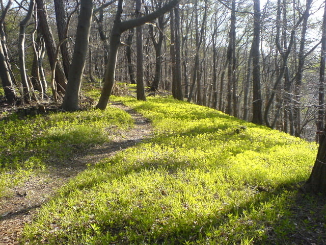 Kleiner Deister und Osterwald