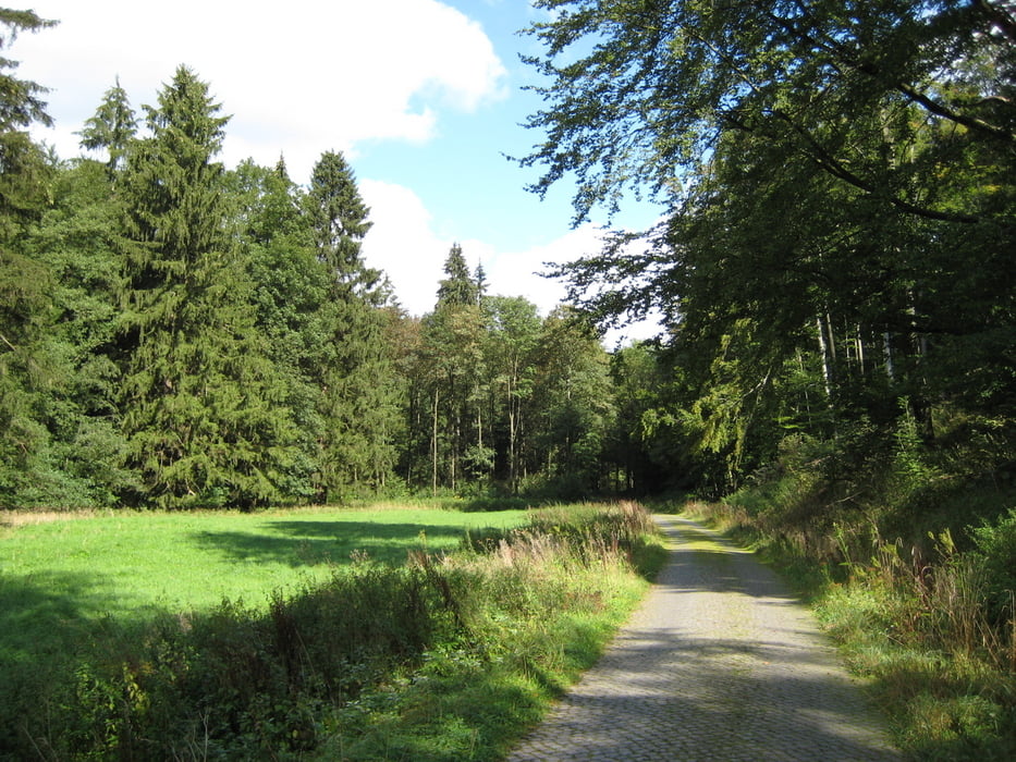 Sachsa - Großer Knollen