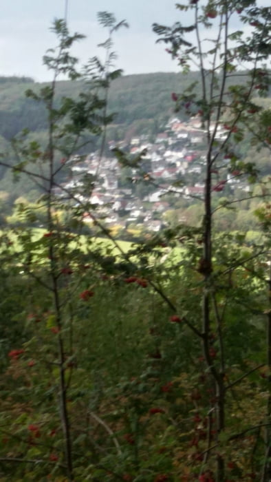 Weitblick