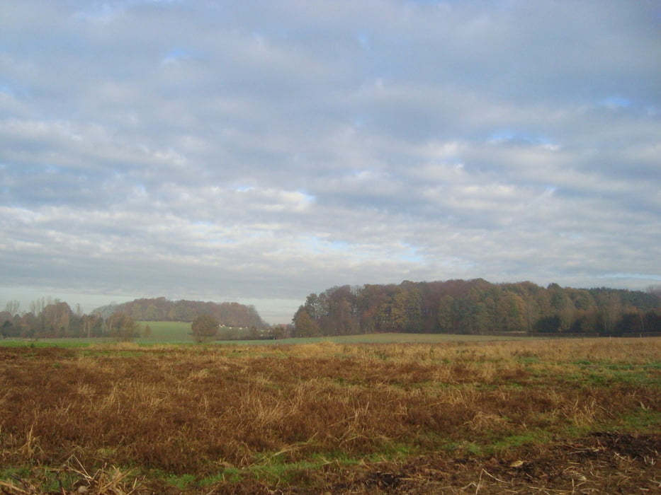 Landschapswandeling De Spicht (korte route + verlenging)