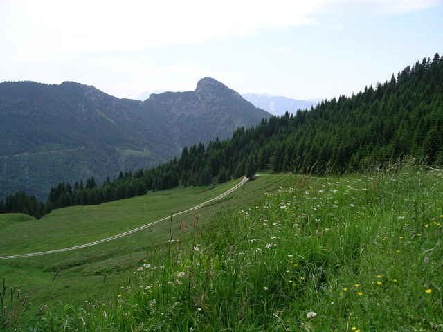 Feichteck über Frasdorfer Hütte ins Trockenbachtal