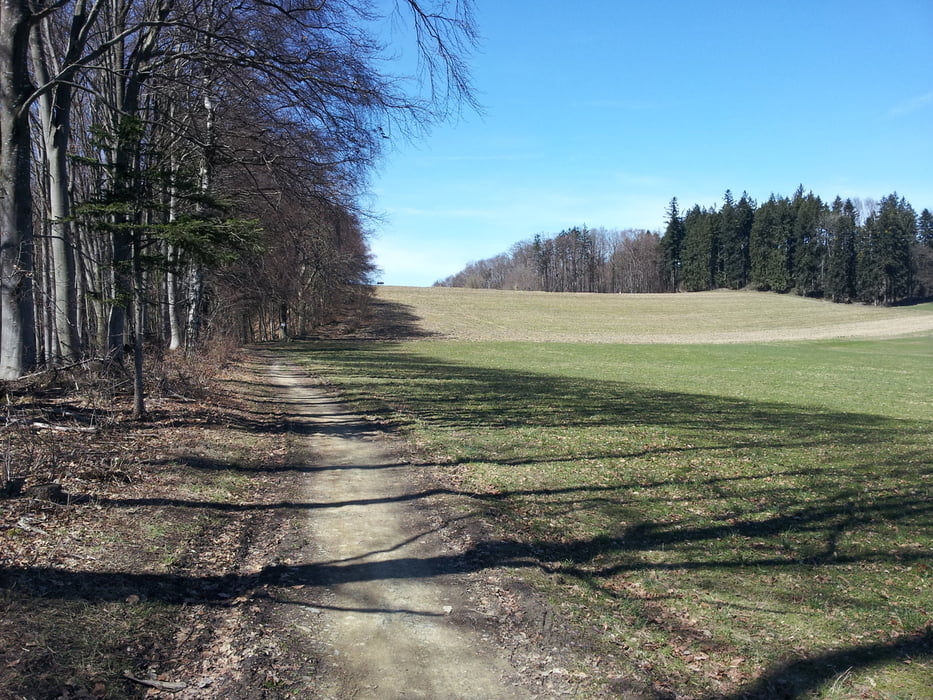 Auf schönen Trails um den Gehrenberg