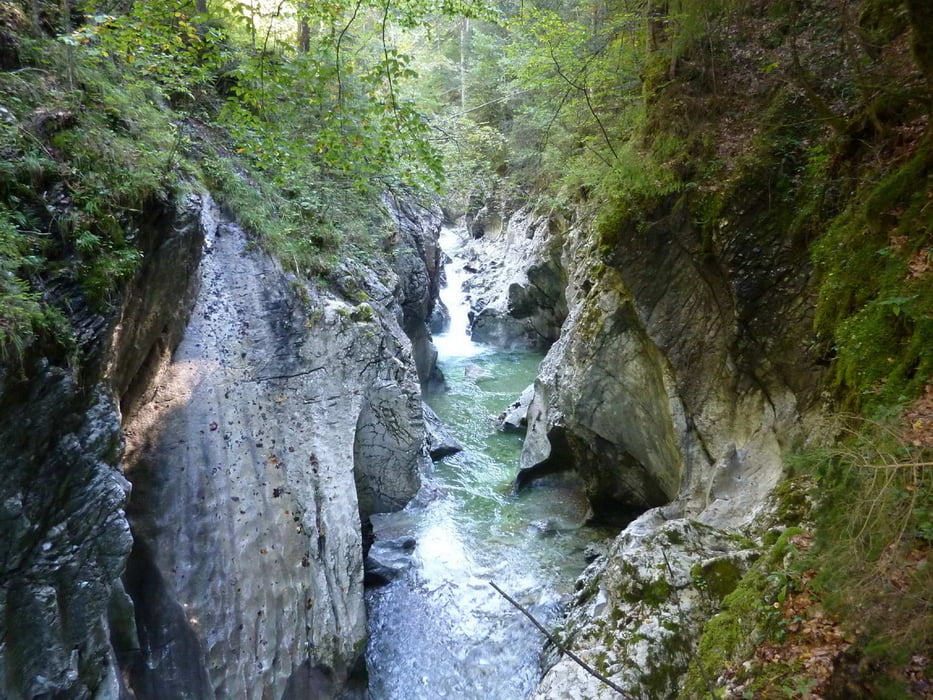 Rettenbachwildnis und Hoisenrad-Alm