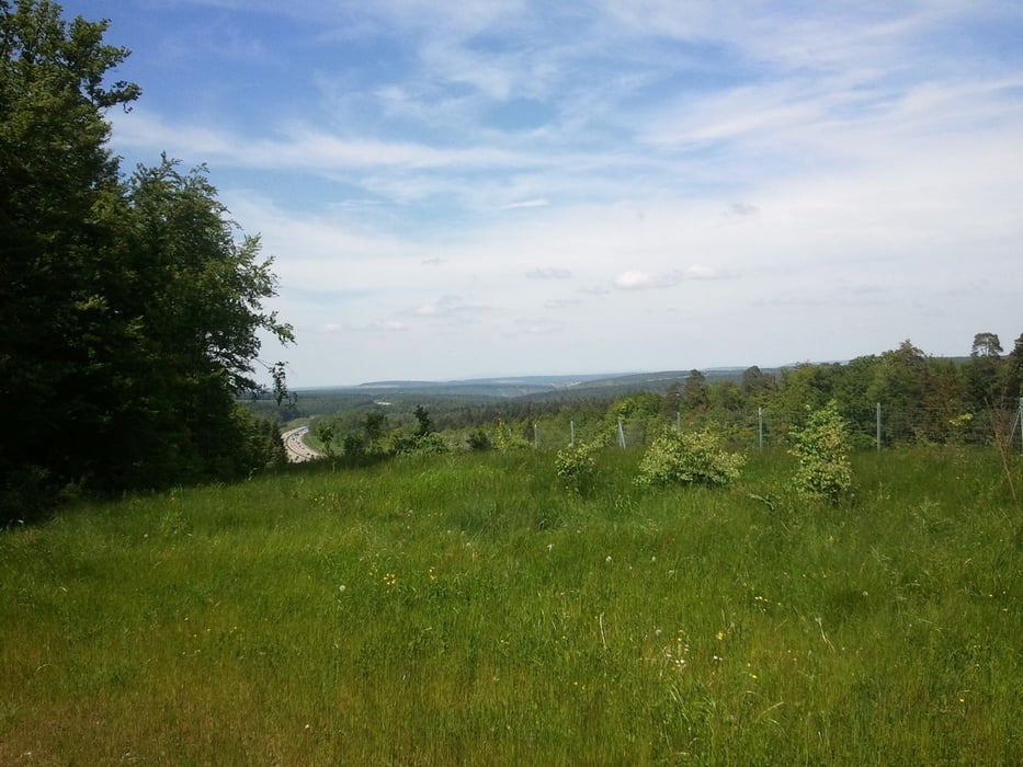 Trainingsrunde Friolzheimer Wald
