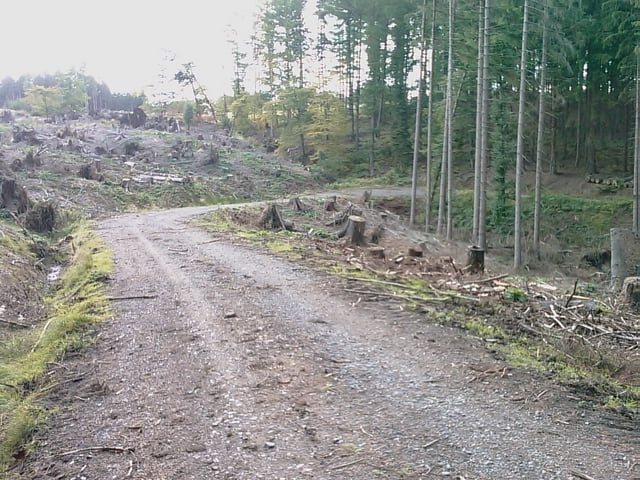 Rennweg Plackweg Möhnesee