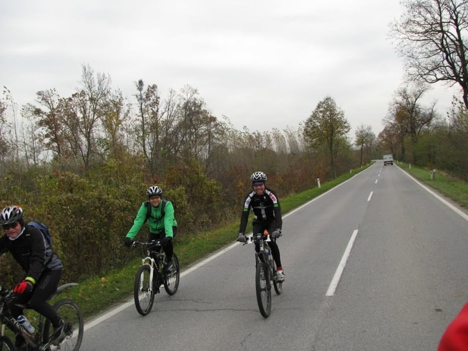 20121110_DNV, Marchegg, Gaensendorf, Leopoldsdorf, DNV