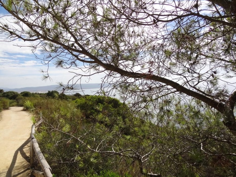 Parque Natural La Breña y Marismas del Barbate