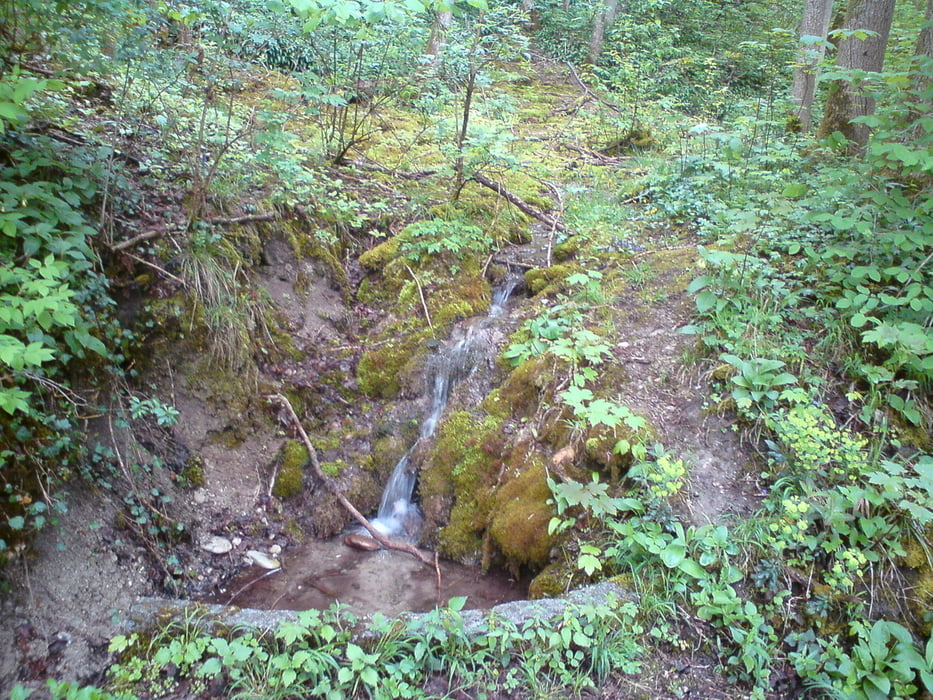 Wels Umgebung
