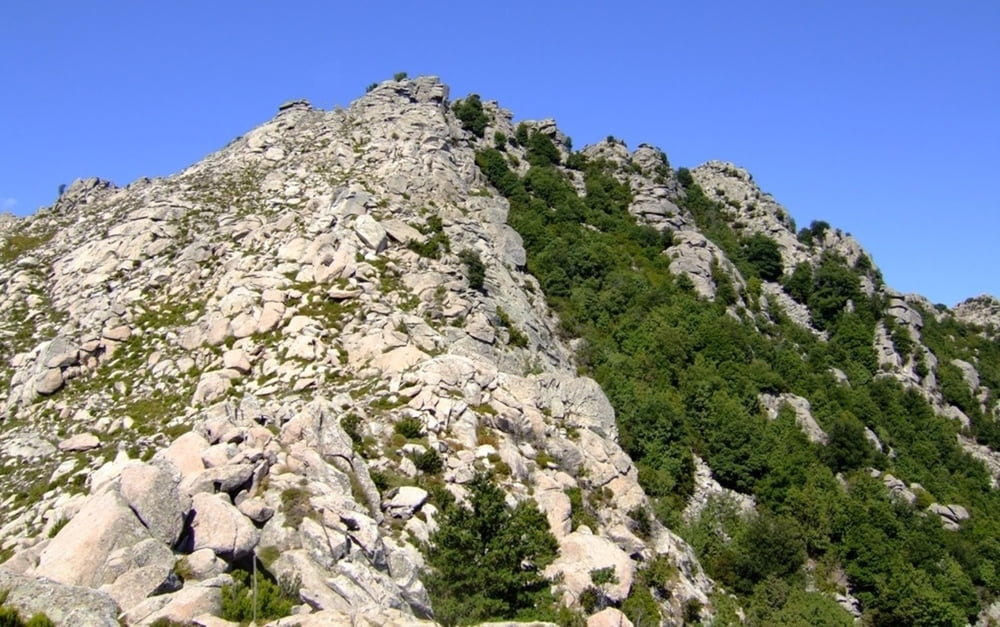 ELBA TOP MOUNTAIN