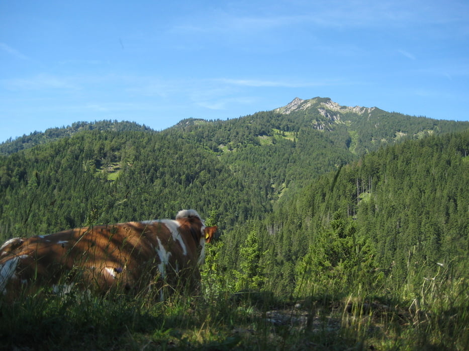 Bike+Hike Schinder 1808m via Valepprunde