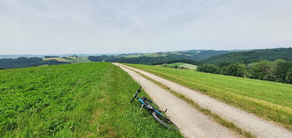 Prambachkrichen - Schlögener Blick