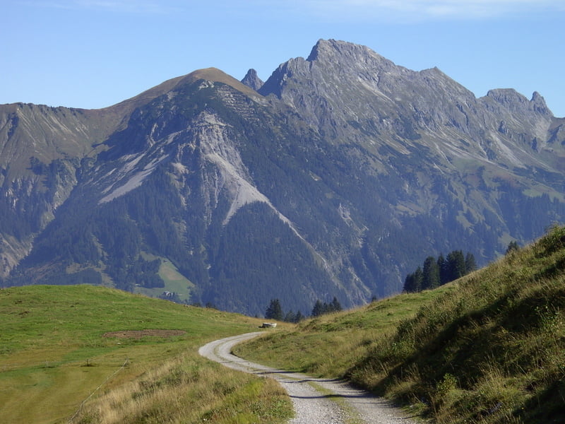 Staffelfeder