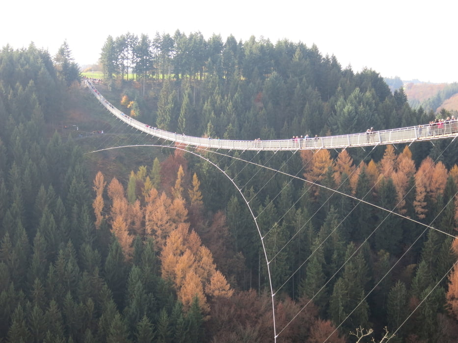 über die Geyerlay- Hängeseilbrücke im Hunsrück
