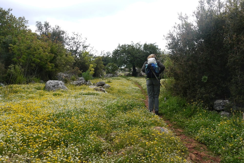 Lykischer Weg von Kapakli bis Kalücagiz über Simena