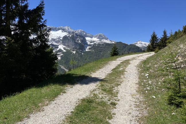 Altopiano del Montasio