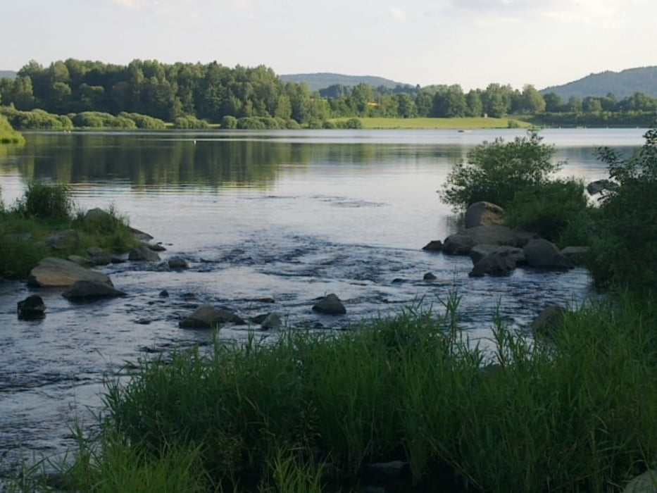 Perlsee