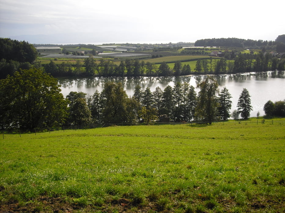 Cross-Countrytour im Bodenseehinterland