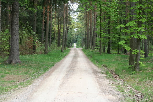 Rundtour Tharandter Wald 