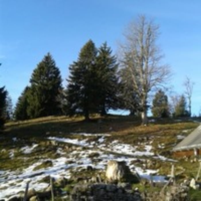 Chasseral