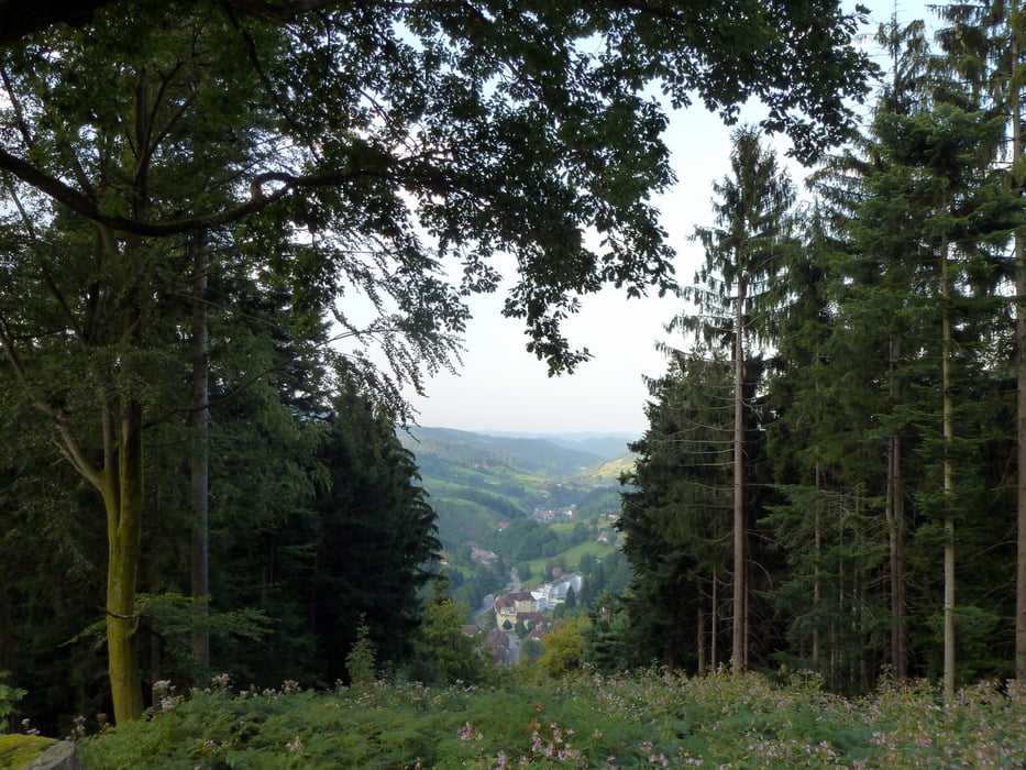 Löcherbergwasen Biereck Baiersbronn