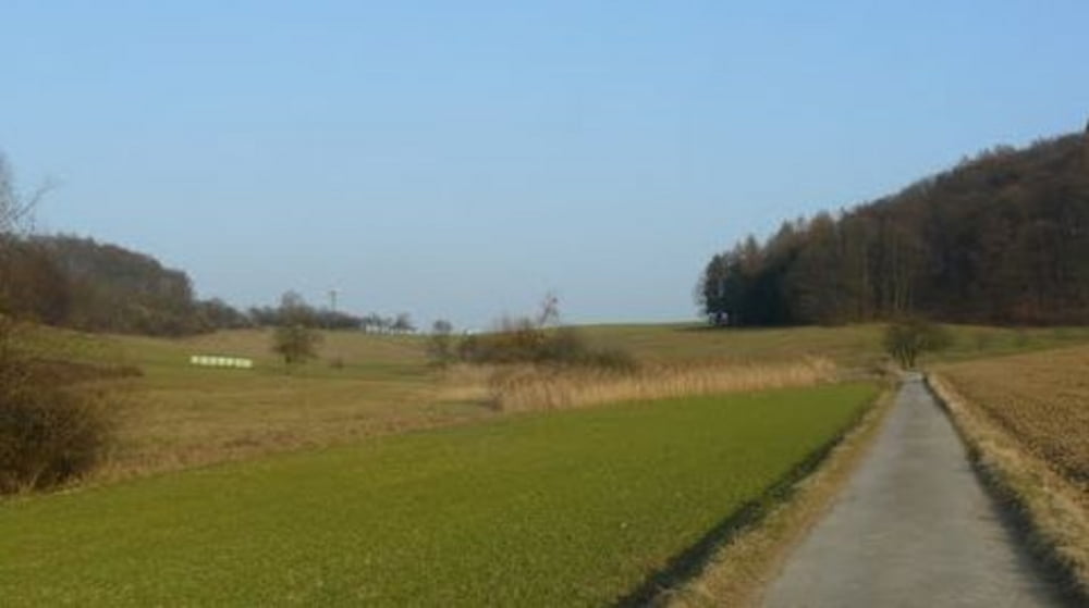 Weinheimer Trainingsrunde