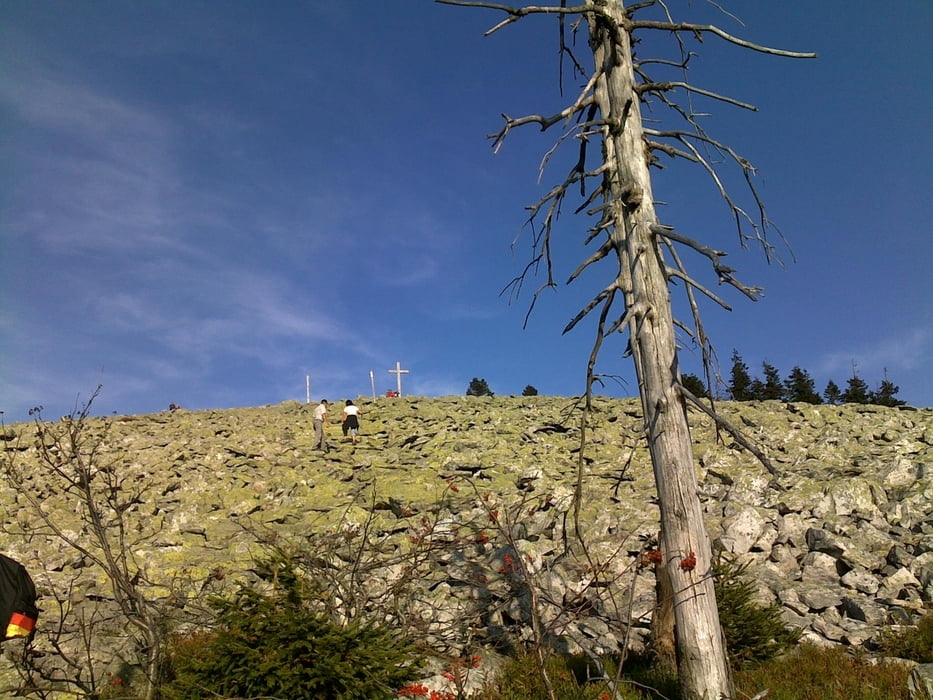 Lusen 1.373 m