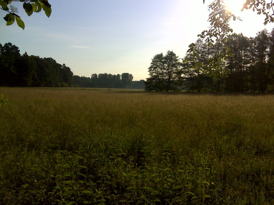 MTB Trainingstour ca. 80 minuten