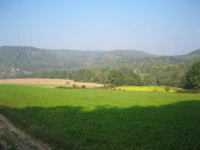 Abstecher zum Thiergarten