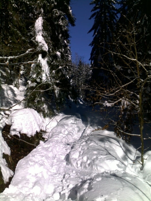 über Risslochschlucht zur Chamer Hütte