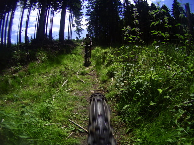 Stefans Trailtour Arnsberger Wald