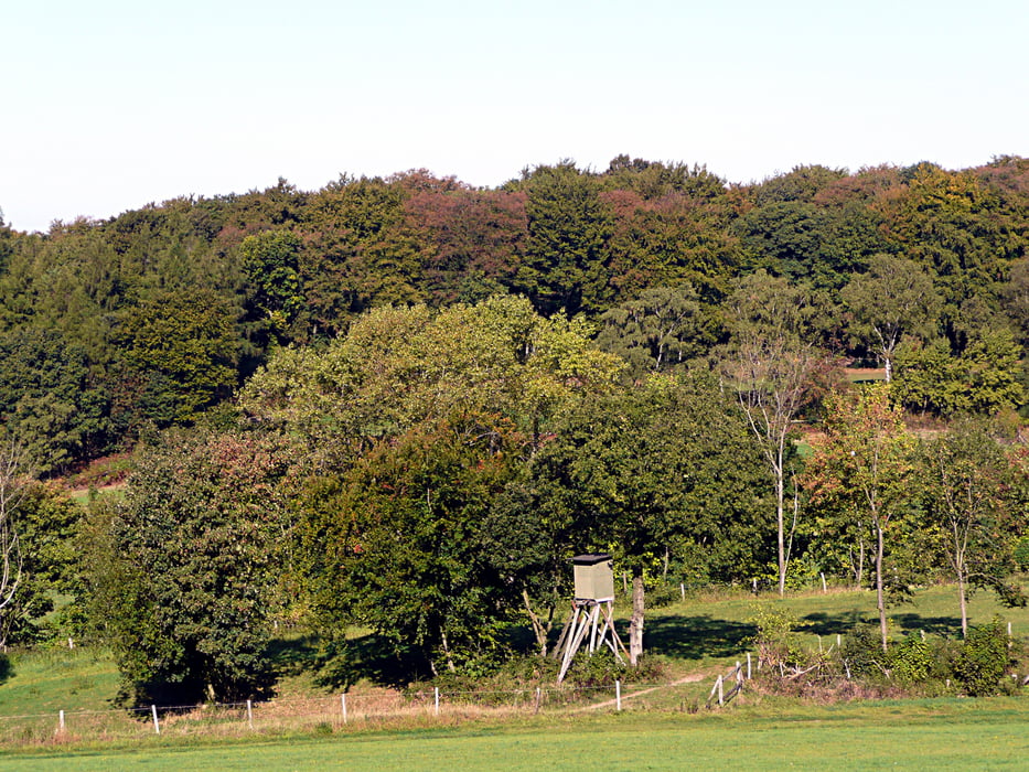 Elfringhauser Schweiz