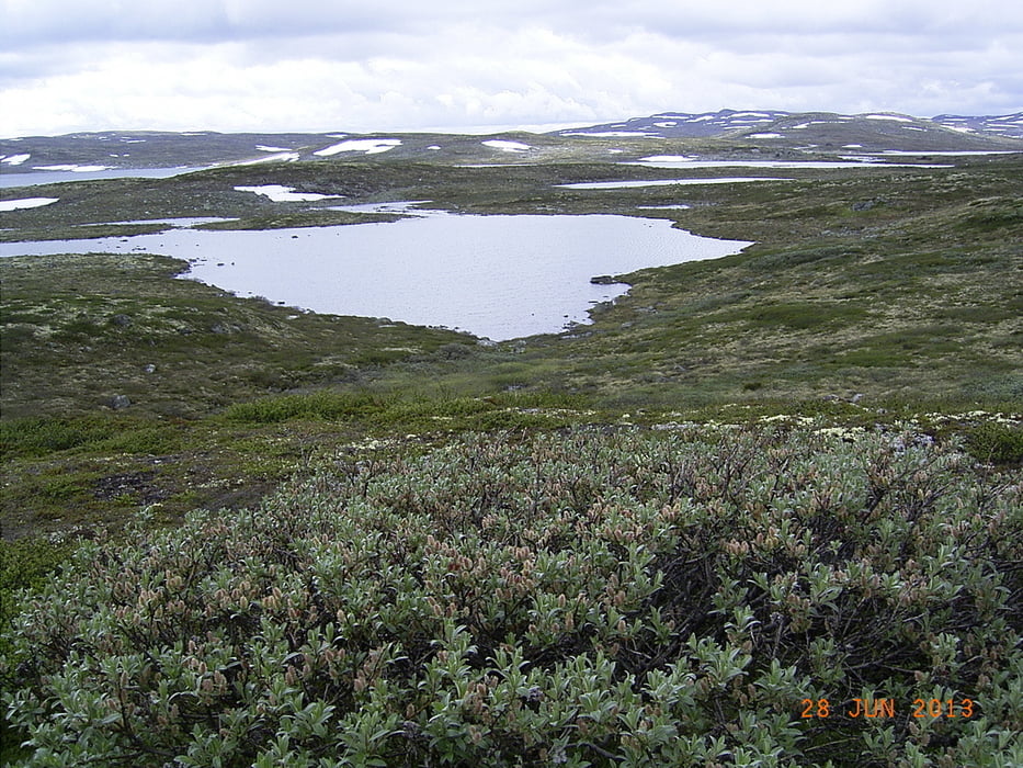 Oslo-Bergen