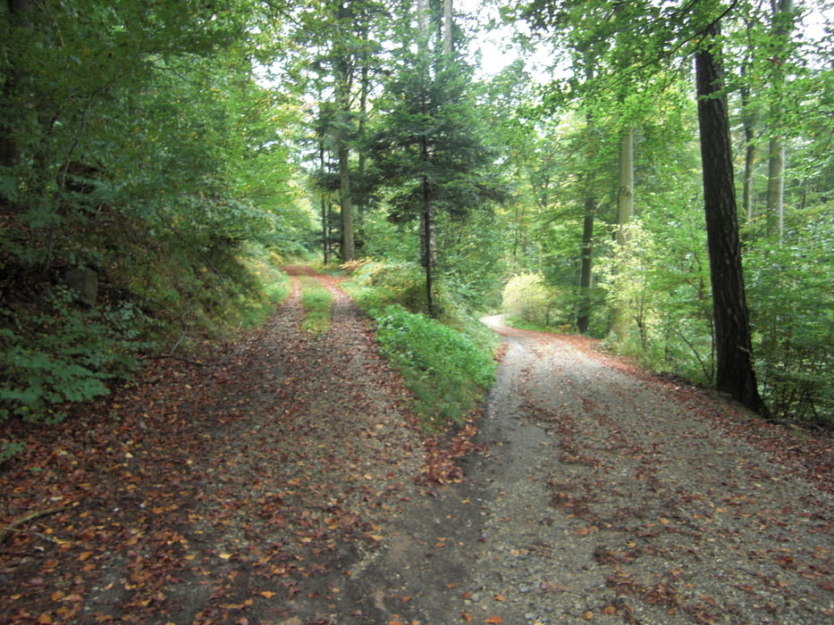 Karlsruhe to Mahlberg