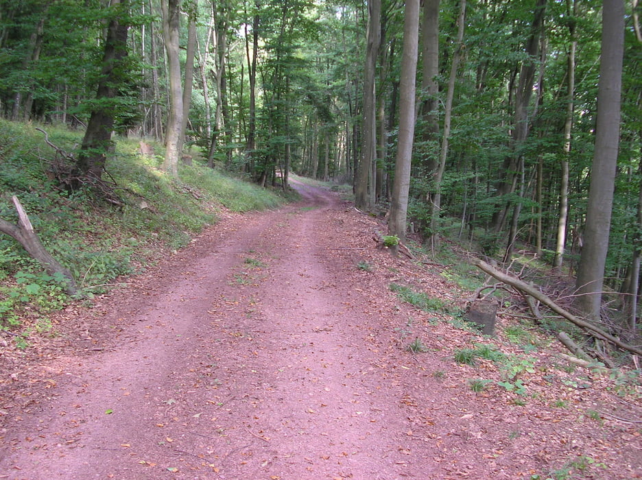 Nord-Südgau (Hirn-Gallen-Königsberg)