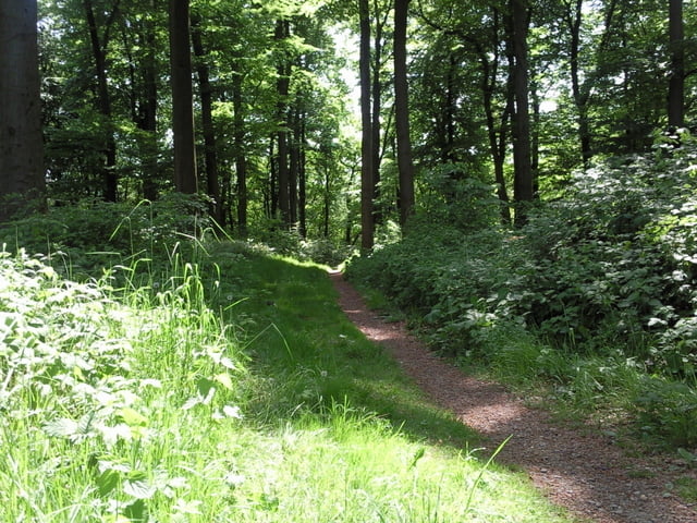 Kaiserswerth-Schwarzbachtal Tour