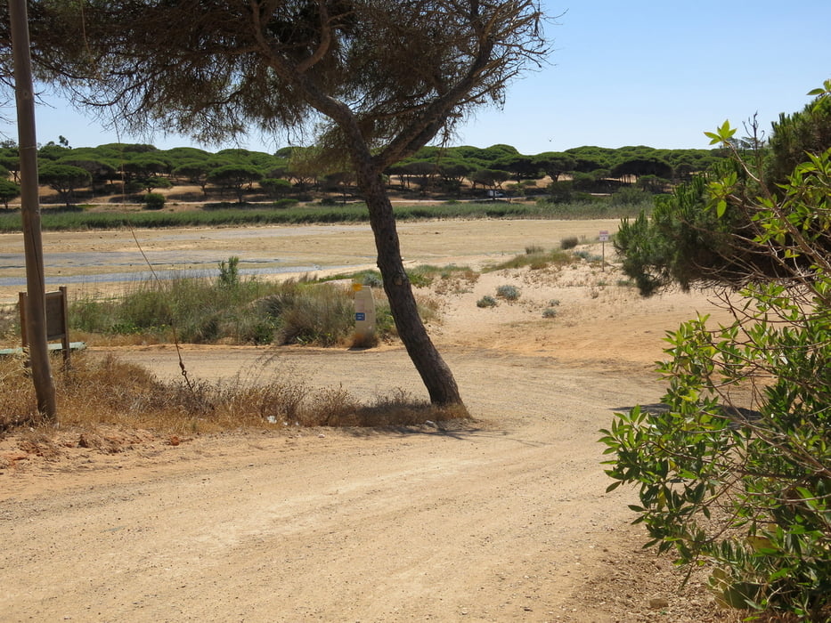 Faro - Lisboa: Etappe 1 Faro - Armação de Pêra