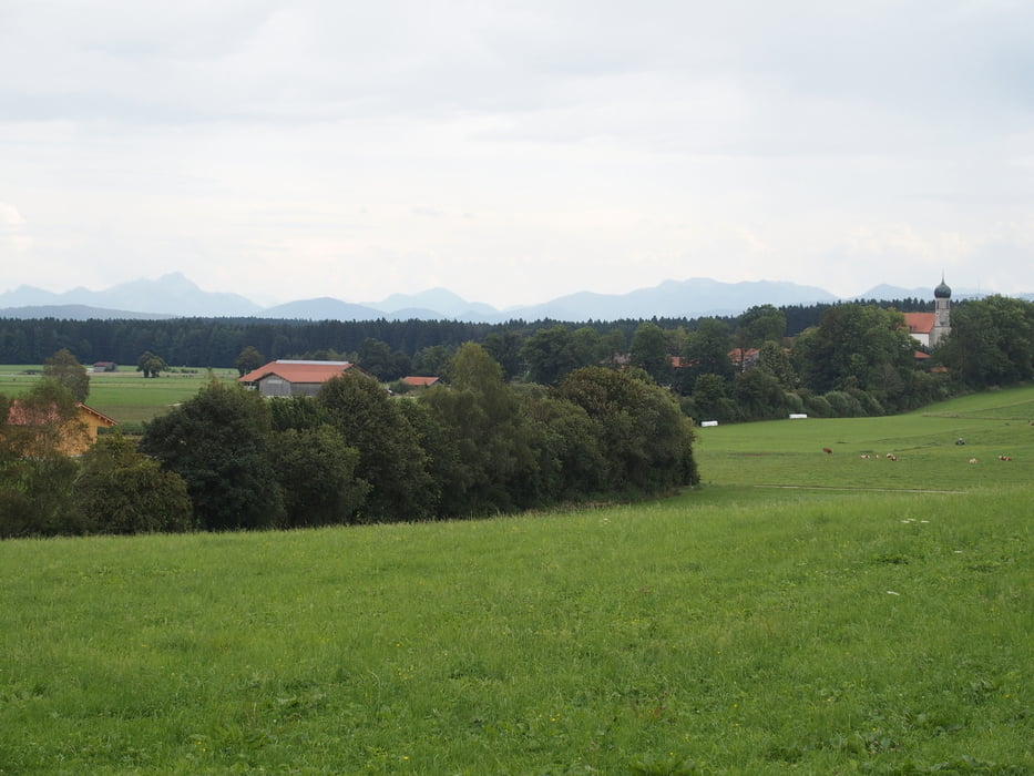 Baden im Thanninger Weiher