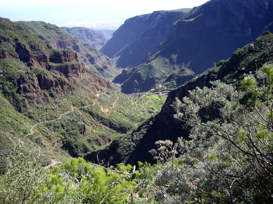 Barranco de Guayadeque