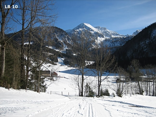 LL Rosenau Mittel Var1
